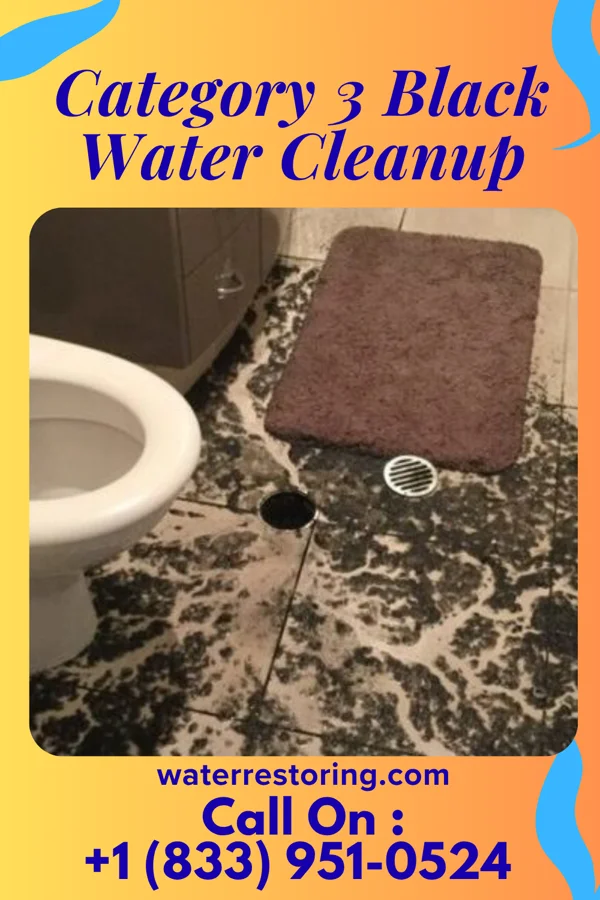Category 3 Black Water Cleanup in Varnado, LA