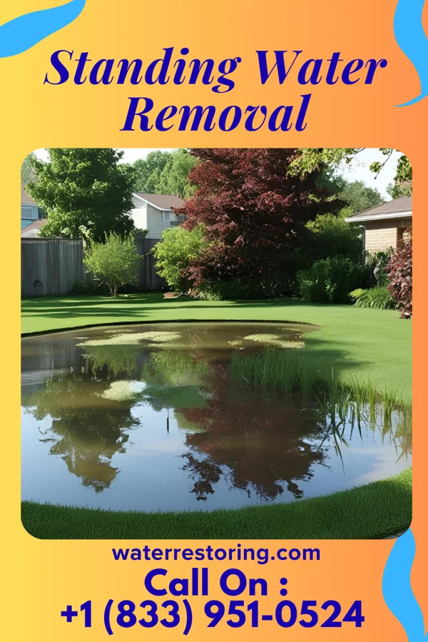 Standing Water Removal in Varnado, LA